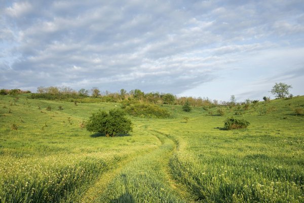 Comment effectuer une location de bateau à l'étranger ?