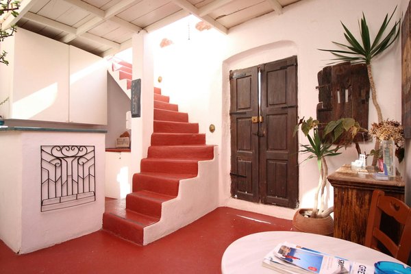 Découvrez la faune de la Montagne Sainte-Victoire